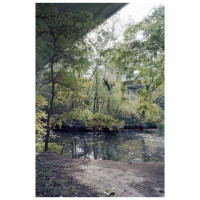 http://zoltanadorjani.com/files/gimgs/th-81_jungl03k.jpg