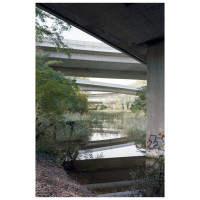 http://zoltanadorjani.com/files/gimgs/th-81_jungl04k.jpg